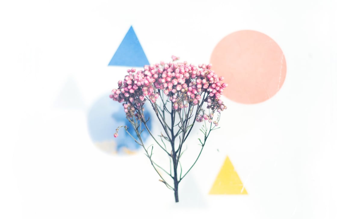evie-s-Ka_Y7feBA4U-unsplash-1